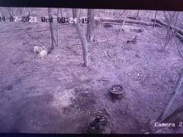 они занялись оральным секасам!!!!!!!!!!!!!!