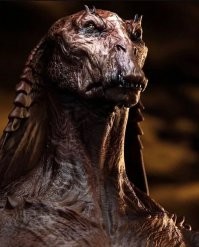 Если бы он принял темную сторону....