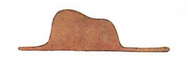 Огромный питон пробрался в дом и съел домашнего кота