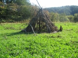 Вот это единение с природой, а то что у японцев это контейнеры по среди леса.