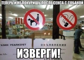 Коротко о том, почему не стоит гладить чужих собак