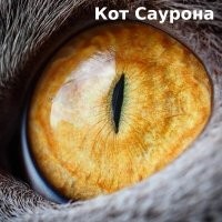 Макросъемка: невероятные фотографии живых существ