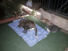 У нас все по-понятиям!