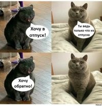 Жизненные и прикольные картинки про работу