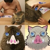 Недовольное тигриное "мяу"