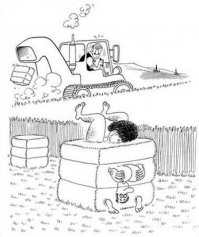 С женой смеялись до слез: шутки на весьма пикантную тему