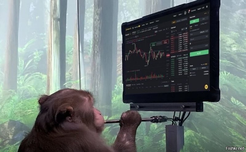 Компания Маска показала, как обезьяна играет в видеоигры "силой мысли"