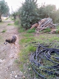 Сосед по даче собрал кучу хлама. Куча постоянно растет. Но этот хотя бы за пределы своего участка не вылезает (пока). Другой постоянно разводит срач ВОКРУГ своего участка. И постепенно расползается все дальше и дальше.