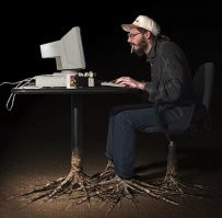 Проростает потихоньку, укореняется...