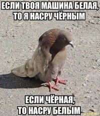 Из той же серии -