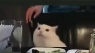 Это какой-то позоор....