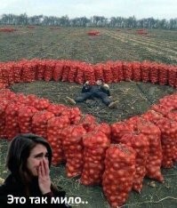 Смешные комментарии из соц.сетей