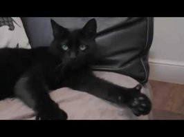 Реально молодцы!