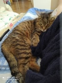 ...20 лет парню...Иногда кажется, что он всю мою жизнь со мной))