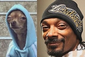 Намешалось