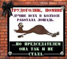 Смешные и познавательные картинки