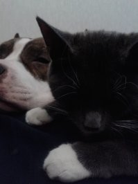 Их миллион.