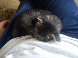 Моя, когда совсем мелкая была.