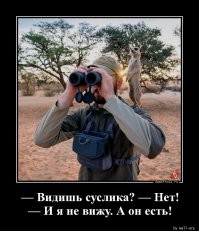 Потрясающие картины, нарисованные шариковой ручкой