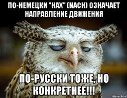 Направление, говоришь, предъяви...