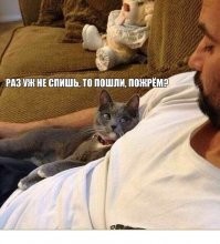 Взгляд вместо слов: 20+ питомцев, которые всей душой любят своих хозяев