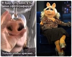 Очередная свежая подборка демотиваторов
