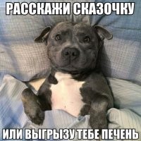 Животные, которым нужно внимание хозяина прямо сейчас