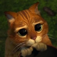 Взгляд вместо слов: 20+ питомцев, которые всей душой любят своих хозяев