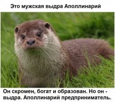 Прикольные комментарии в соцсетях