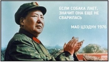 Смешные комментарии и картинки из соцсетей