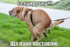 Вести из дурки, или Подборка толерантных новостей