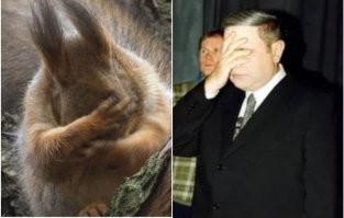 Смешные комментарии и картинки из соцсетей