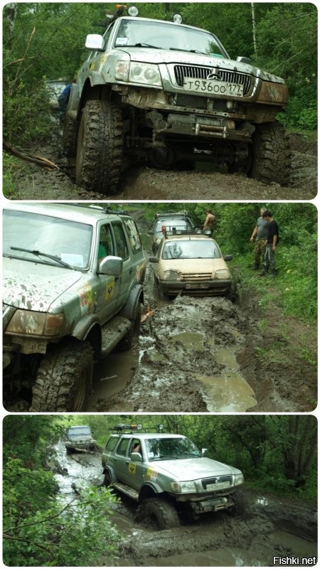 Греат Волл Сейф берите.