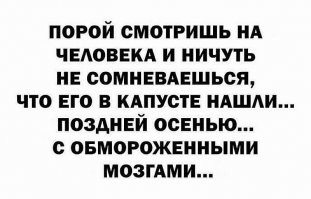 Мужчина украсил авто разными фигурками