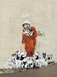 Первые земляне в космосе