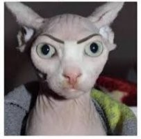 Куда ж без нее