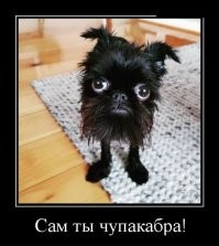 Смешные комментарии и картинки из соцсетей
