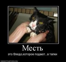 27 жизненных и полезных шпаргалок, отвечающих на вопрос "Как"