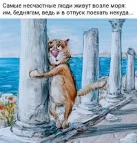 Никуда не поеду.