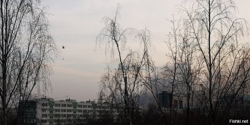 И до сих пор горит (19:26) Вот фотка с балкона, что называется - "онлайн". И вертолёт с черпаком летает. Вонища гарью, хотя ветер в сторону сносит...