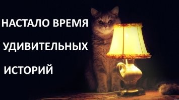 Чернобыльские сомы-мутанты ловят и едят голубей, а также вырастают до гигантских размеров