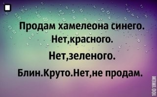 Смешные и познавательные картинки