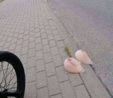 Небольшое головокружение в день рождения