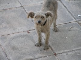 Смешные комментарии и картинки из соцсетей