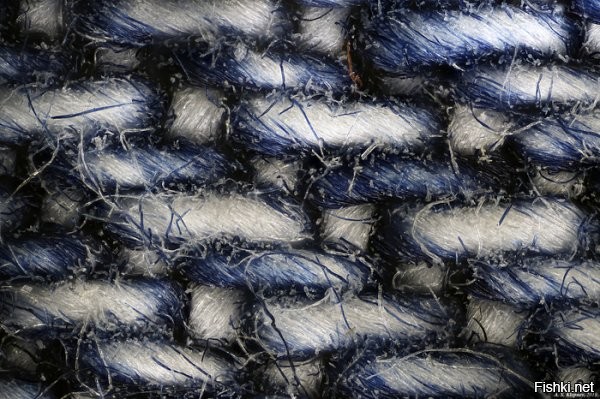 Так и есть. Вот джинса под микроскопом: