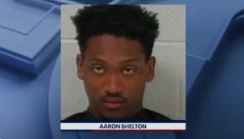 Какой "осмысленный" взгляд, какое "милое", "доброе" лицо, причем совершенно не обезображенное интеллектом...