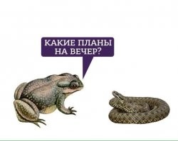 Ну Вы поняли......