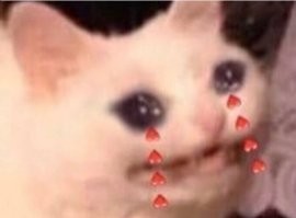 Котенок нашел своего человека