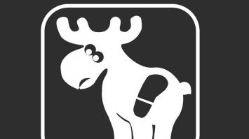 "Тактильные дорожки" - с разнообразной плиткой и бордюрами? :applause: