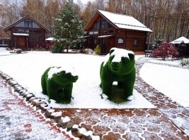 Подборка обеденных фотоприколы вторника